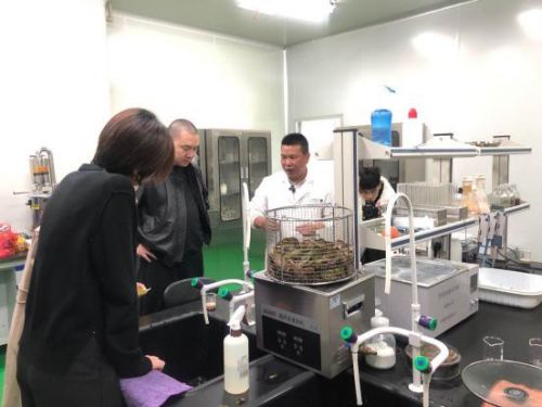 科技賦能農業新篇章 CCTV 1聚焦云谷田園LED植物工廠，珍稀本草金線蓮成功培育引領生物技術新服務